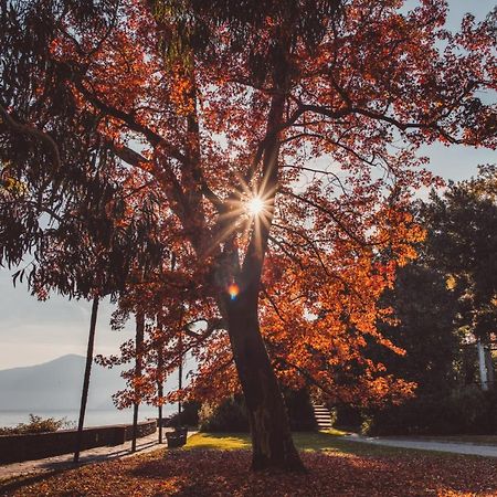 Hotel Villa Emden Brissago Luaran gambar